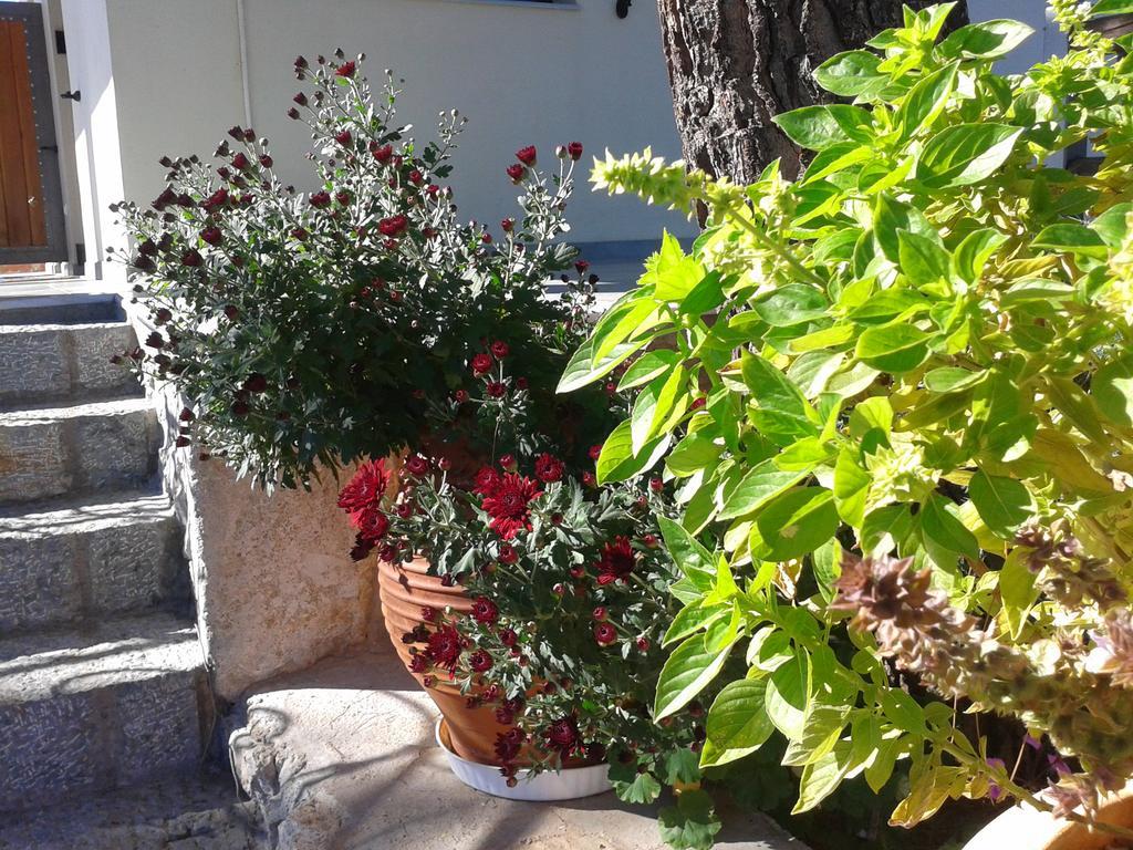 Niriides Apartment Galaxidi ห้อง รูปภาพ